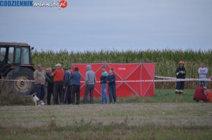 DSC 0012